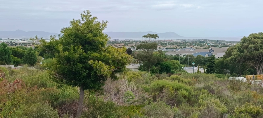 0 Bedroom Property for Sale in Chanteclair Western Cape